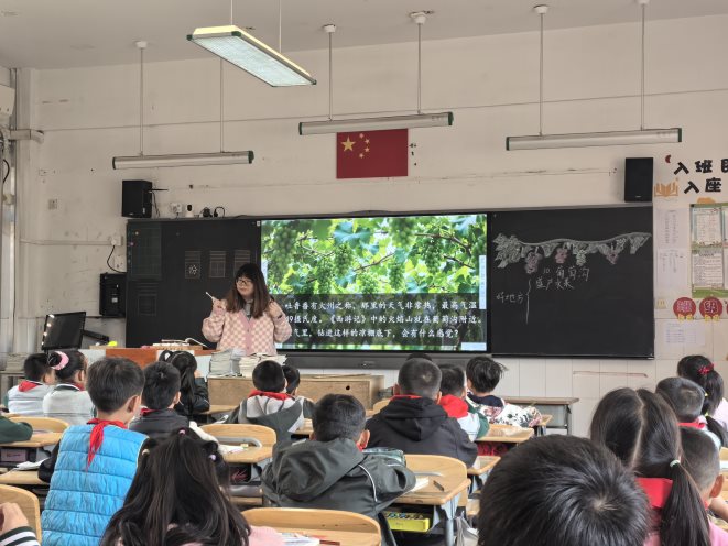 7c470b9b80addebea78ac96c466aa8e